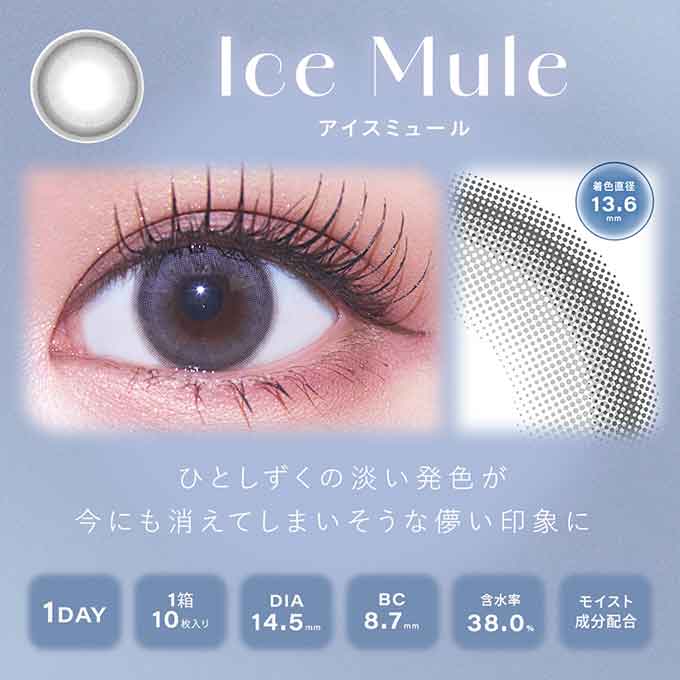 (1箱10枚入)カラコン 1day シャルトン ワンデー 度なし 度あり カラーコンタクト 14.5mm きぬ
