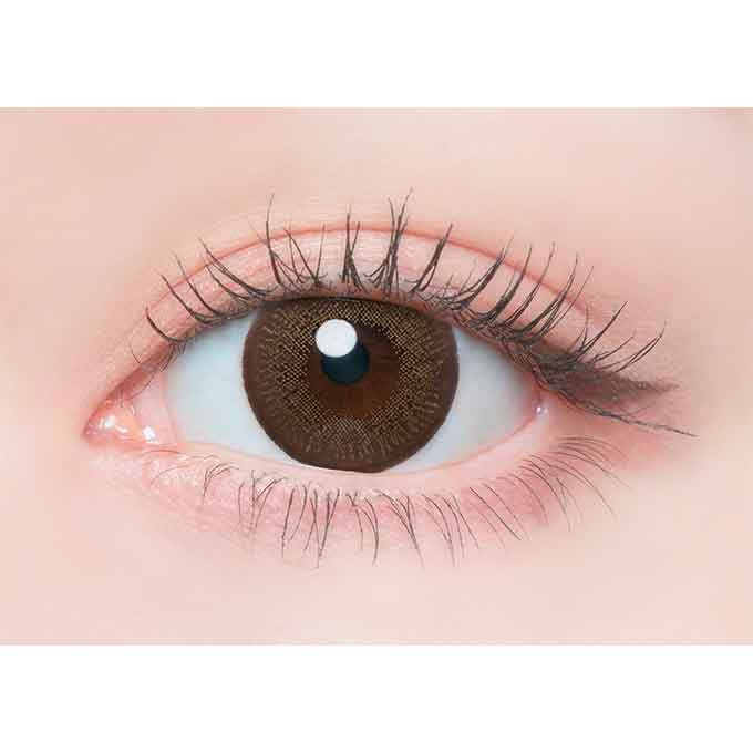 フランミー 1day ダークモカ 1箱10枚 VR(バーチャル試着) 佐々木希