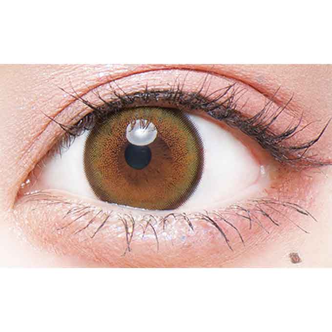 フルーリー 1day ライトカーキブラウン(褒められパンダ) 1箱10枚 VR(バーチャル試着) 明日花キララ