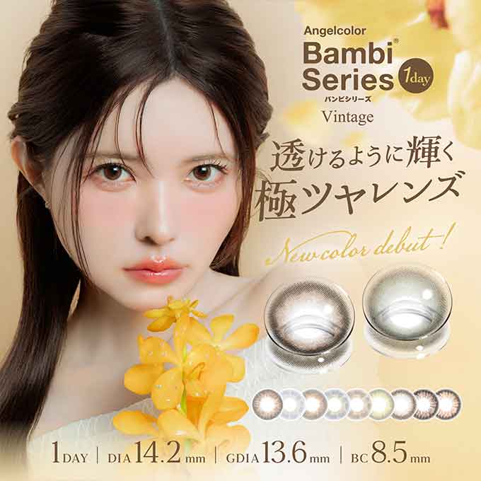 1箱10枚入 カラコン ワンデー エンジェルカラーバンビシリーズ 1day ヴィンテージ/ナチュラル 14.2mm 度あり 度なし カラーコンタクトレンズ 益若つばさ