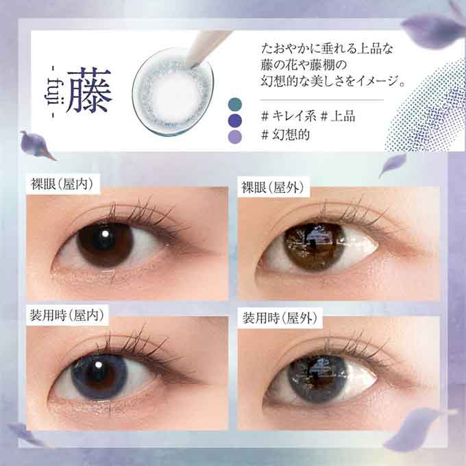 (1箱10枚入)カラコン 1day Bishonennga hanairo 度なし 度あり カラーコンタクトレンズ 14.2mm 14.5mm 美少年画 花彩 ビショウネンガ ハナイロ