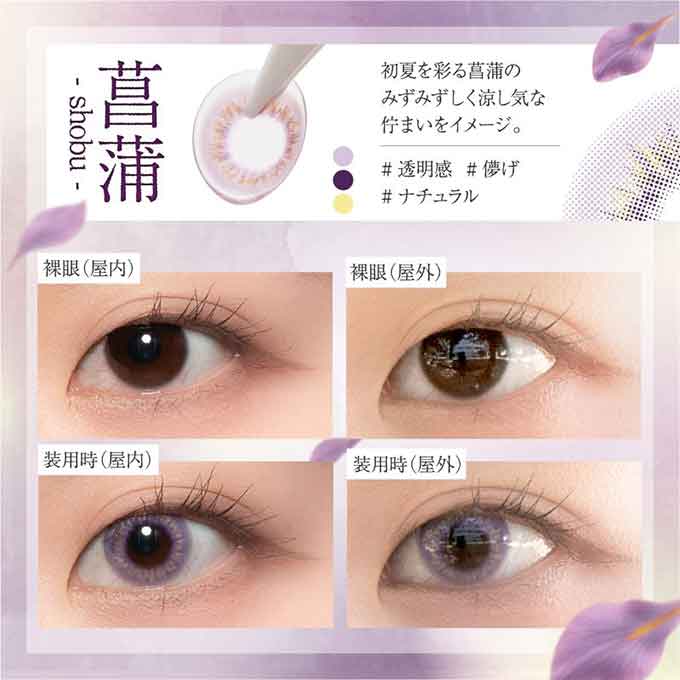 (1箱10枚入)カラコン 1day Bishonennga hanairo 度なし 度あり カラーコンタクトレンズ 14.2mm 14.5mm 美少年画 花彩 ビショウネンガ ハナイロ
