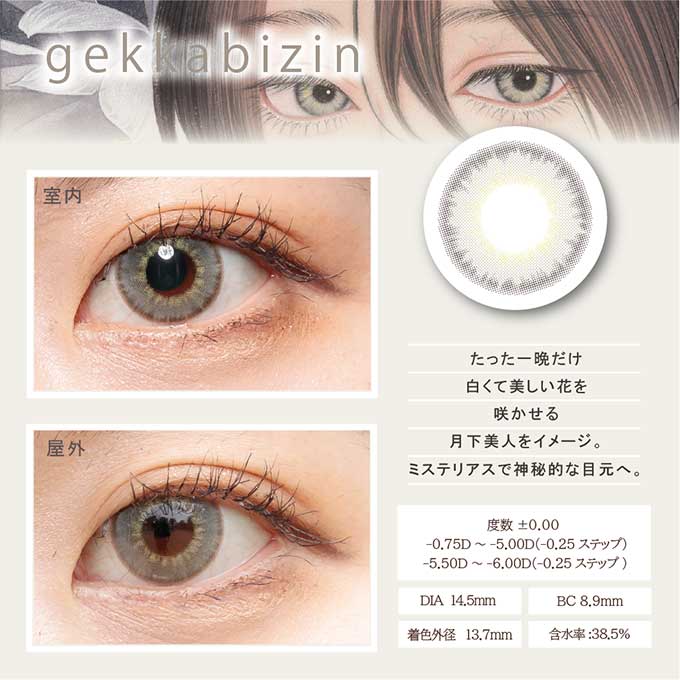 (1箱2枚)カラコン 1ヶ月 Bishonennga hanairo度なし 度あり カラーコンタクトレンズ 14.2mm 14.5mm 美少年画 花彩 ビショウネンガ ハナイロ