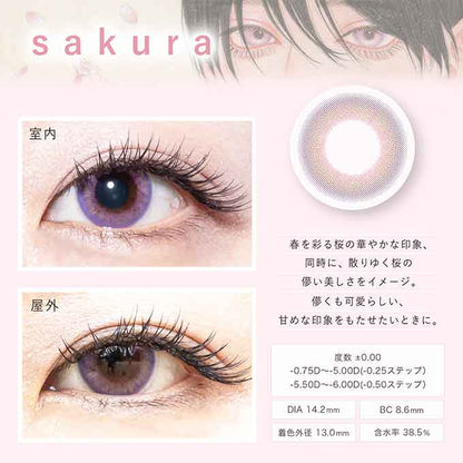 (1箱2枚)カラコン 1ヶ月 Bishonennga hanairo度なし 度あり カラーコンタクトレンズ 14.2mm 14.5mm 美少年画 花彩 ビショウネンガ ハナイロ