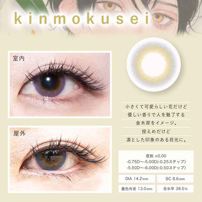 (1箱2枚)カラコン 1ヶ月 Bishonennga hanairo度なし 度あり カラーコンタクトレンズ 14.2mm 14.5mm 美少年画 花彩 ビショウネンガ ハナイロ