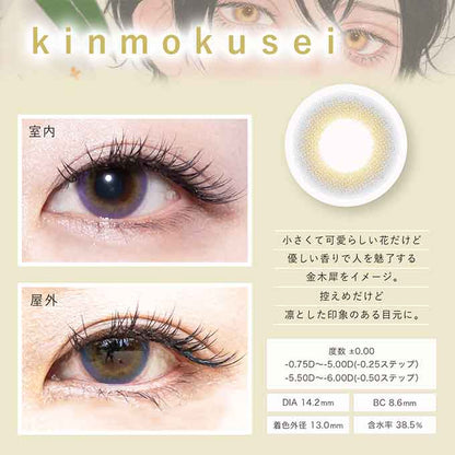 (1箱2枚)カラコン 1ヶ月 Bishonennga hanairo度なし 度あり カラーコンタクトレンズ 14.2mm 14.5mm 美少年画 花彩 ビショウネンガ ハナイロ