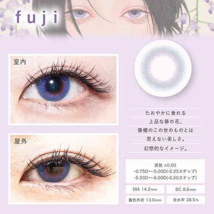 (1箱2枚)カラコン 1ヶ月 Bishonennga hanairo度なし 度あり カラーコンタクトレンズ 14.2mm 14.5mm 美少年画 花彩 ビショウネンガ ハナイロ