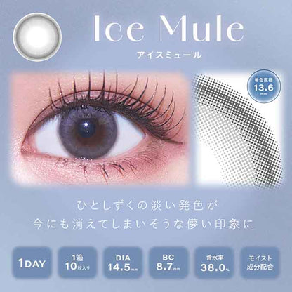 (1箱10枚入)カラコン 1day シャルトン ワンデー 度なし 度あり カラーコンタクト 14.5mm　きぬ