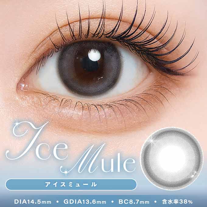 (1箱10枚入)カラコン 1day シャルトン ワンデー 度なし 度あり カラーコンタクト 14.5mm 本田紗来