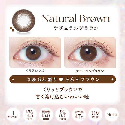 (1箱2枚入)カラコン エバーカラーマンスリー 1ヶ月 度あり 度なし カラーコンタクトレンズ 14.5mm　新木優子