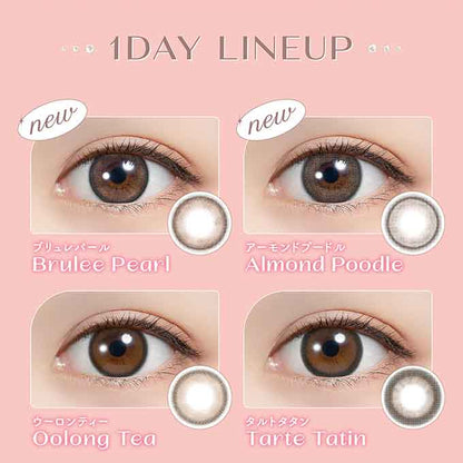 1箱10枚入 カラコン feliamo フェリアモ ワンデー度あり/度なし 14.2mm/14.5mm ナチュラル系 1day/1日交換 使い捨て 白石麻衣