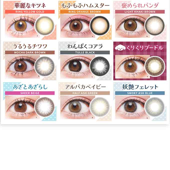 【4箱同時購入で1箱分無料!!】カラコン 1day フルーリー byカラーズ (1箱10枚入) 度なし 度あり カラーコンタクトレンズ 14.5mm 14.1mm ハーフ ナチュラル　明日花キララ