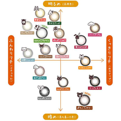 【4箱同時購入で1箱分無料!!】カラコン 1day フルーリー byカラーズ (1箱10枚入) 度なし 度あり カラーコンタクトレンズ 14.5mm 14.1mm ハーフ ナチュラル　明日花キララ