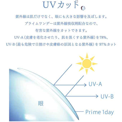 コンタクトレンズ 1day プライムワンデー(1箱30枚)クリアレンズ 透明 無色 1日使い捨て 度あり 14.2mm ソフト　白宮みずほ