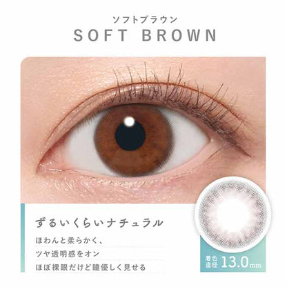 カラコン 1day ピュアリティ byダイヤ サークル(1箱10枚入)度なし 度あり カラーコンタクト 14.0mm ブラウン ワンデー　川津明日香