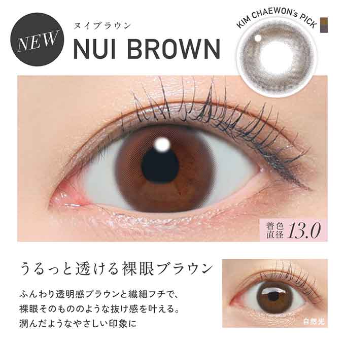 カラコン 1day レヴィア ワンデー サークル ReVIA(1箱10枚)度あり 度なし カラーコンタクトレンズ 14.1mm ワンデー ナチュラル KIM CHAEWON (キム・チェウォン)
