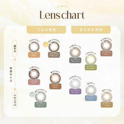 1箱10枚入 カラコン ワンデー エンジェルカラーバンビシリーズ 1day ヴィンテージ/ナチュラル 14.2mm 度あり 度なし カラーコンタクトレンズ 益若つばさ