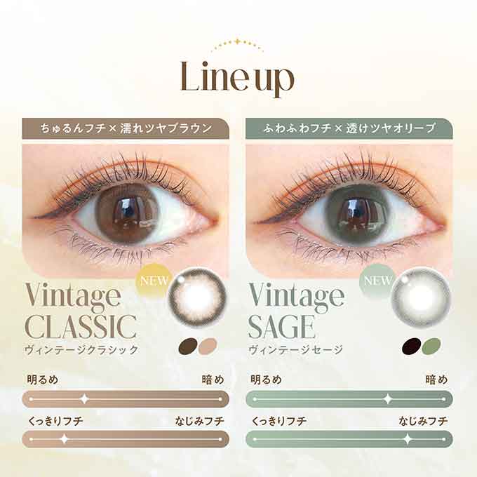 1箱10枚入 カラコン ワンデー エンジェルカラーバンビシリーズ 1day ヴィンテージ/ナチュラル 14.2mm 度あり 度なし カラーコンタクトレンズ 益若つばさ